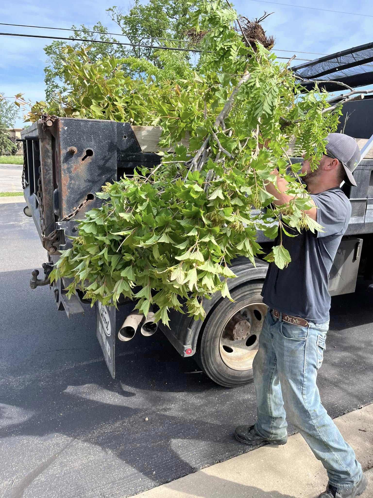 Land clearing project for new construction